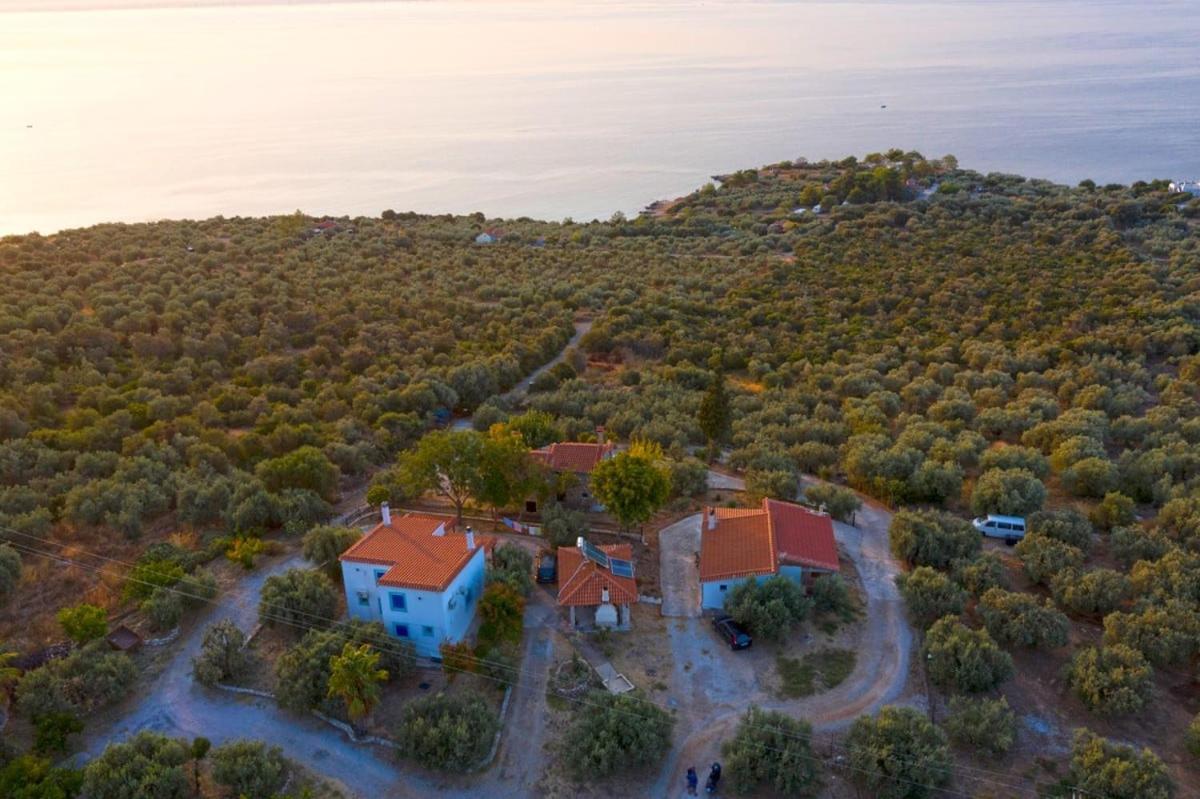 Four Independence Houses By The Sea Glífa Exterior foto